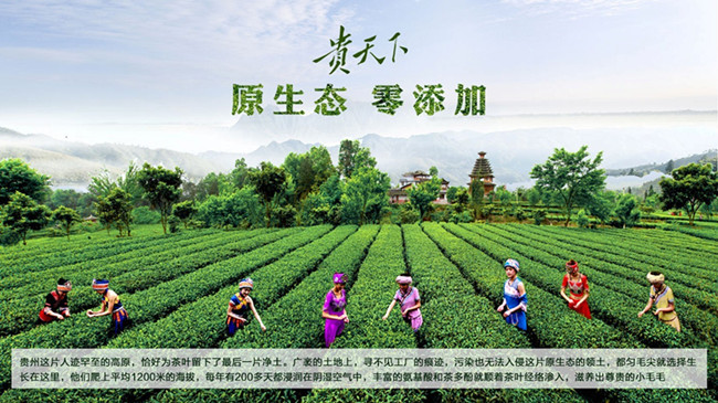 貴天下領袖級好茶，獻給生命中每一位貴人