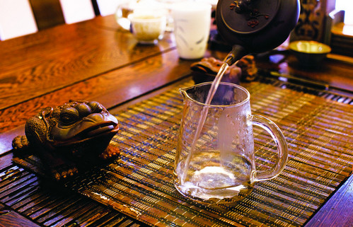 如何養茶寵