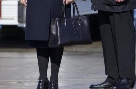 第一夫人彭麗媛緣何青睞廣東箱包品牌？