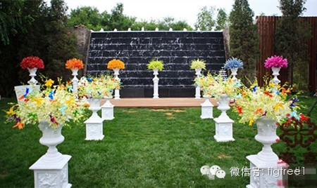 【七色花】一瓣一瓣的美麗，一瓣一瓣的夢想