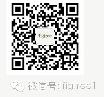 紛純絲巾：感官與氣質的魅力融合