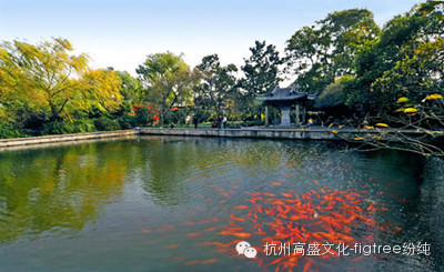 看！那些縈繞在美頸云肩邊的西湖美景（一）