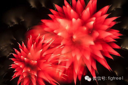 我就是我，是顏色不一樣的煙火！