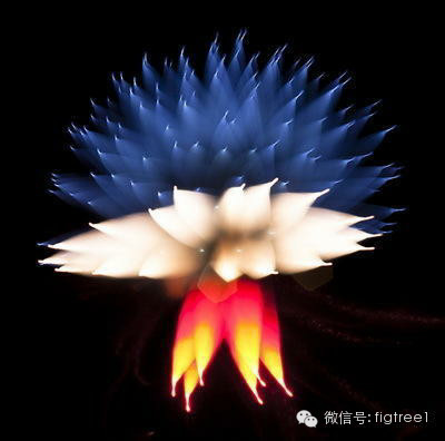 我就是我，是顏色不一樣的煙火！