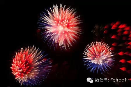 我就是我，是顏色不一樣的煙火！