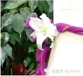 裝扮的藝術：當絲巾遇上家居，意想不到的驚喜！