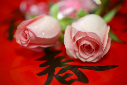 情人節“搶”在春節前 禮物染上年貨味