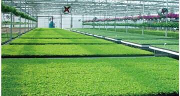 植物生長機進入家庭微耕時代 新品發布會暨招商大會于2015年12月27日盛大開幕