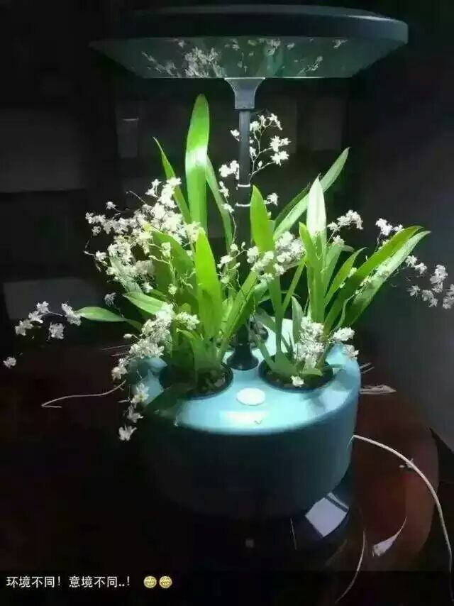 植物生長機進入家庭微耕時代 新品發布會暨招商大會于2015年12月27日盛大開幕