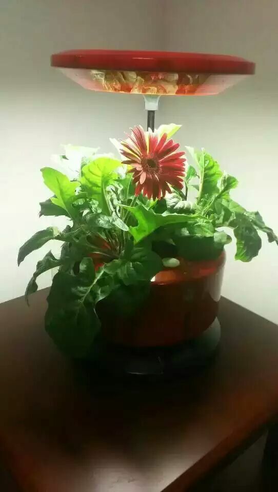 植物生長機進入家庭微耕時代 新品發布會暨招商大會于2015年12月27日盛大開幕