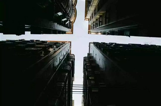 它們和人一樣，其實都需要更好的家